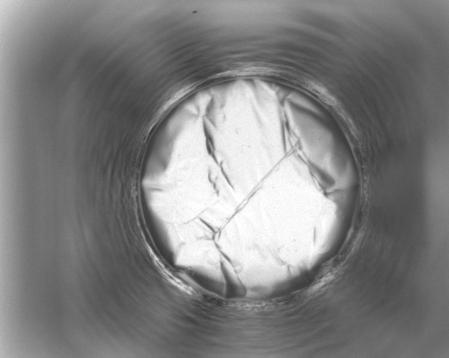 X0000059801425200511181502