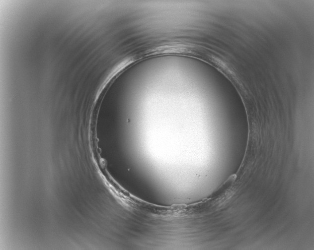 X0000059801426200511181503