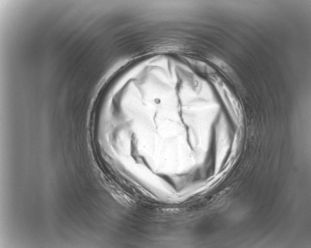 X0000059801427200511181503