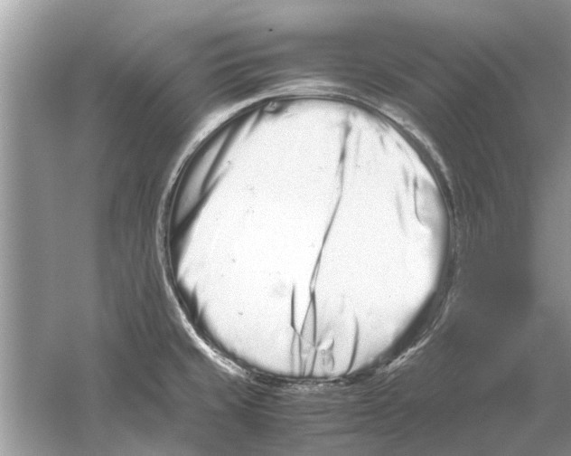 X0000059801429200511181503