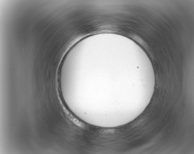 X0000059801431200511181503