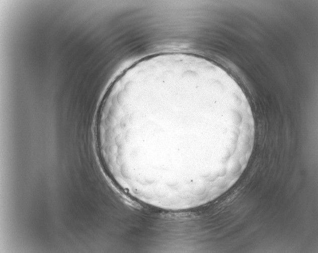 X0000059801432200511181503