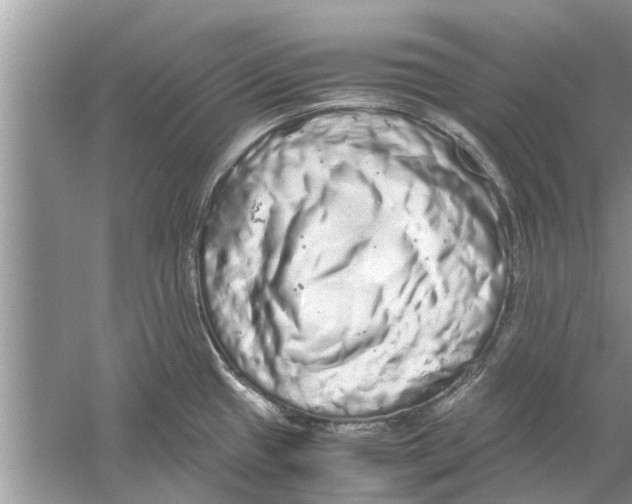 X0000059801433200511181503