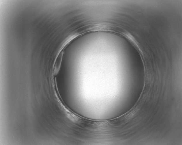 X0000059801434200511181503