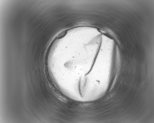 X0000059801435200511181503