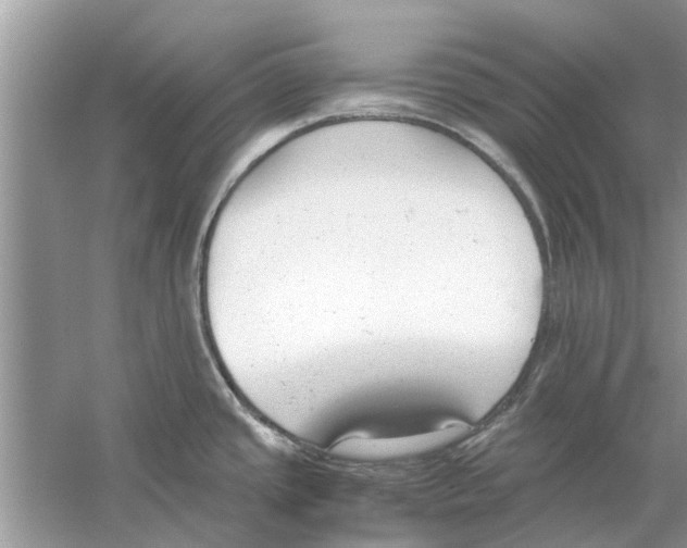 X0000059801437200511181503