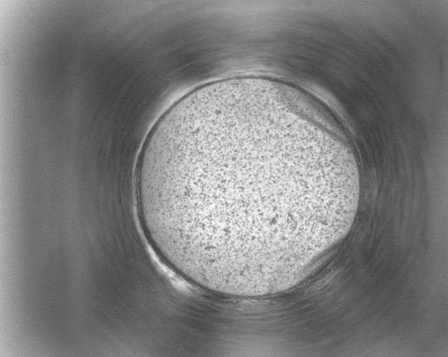 X0000059801439200511181503