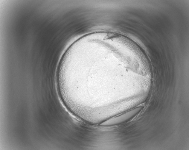 X0000059801440200511181503