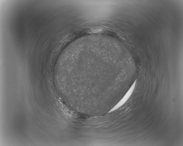 X0000059801441200511181502