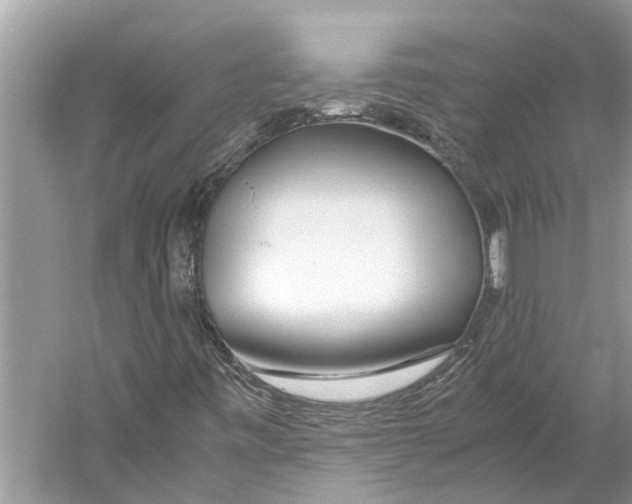 X0000059801443200511181502