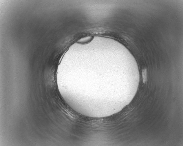 X0000059801444200511181502