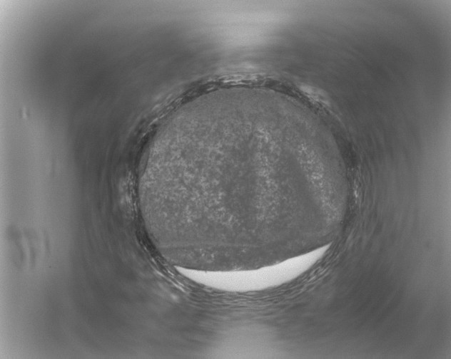 X0000059801445200511181502