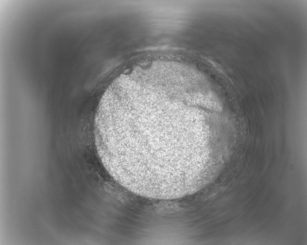 X0000059801446200511181502