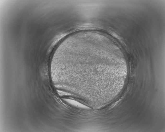 X0000059801453200511181502