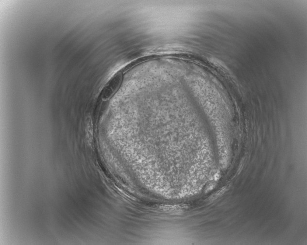 X0000059801457200511181502