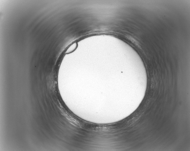 X0000059801458200511181502