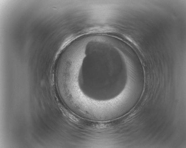 X0000059801459200511181502