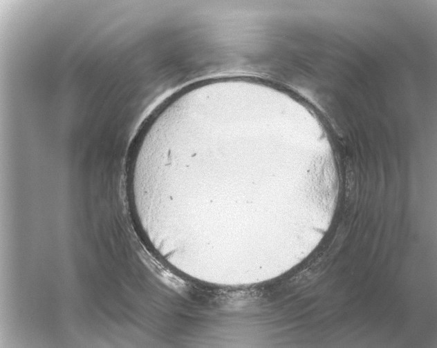 X0000059801460200511181502