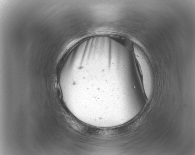 X0000059801461200511181502