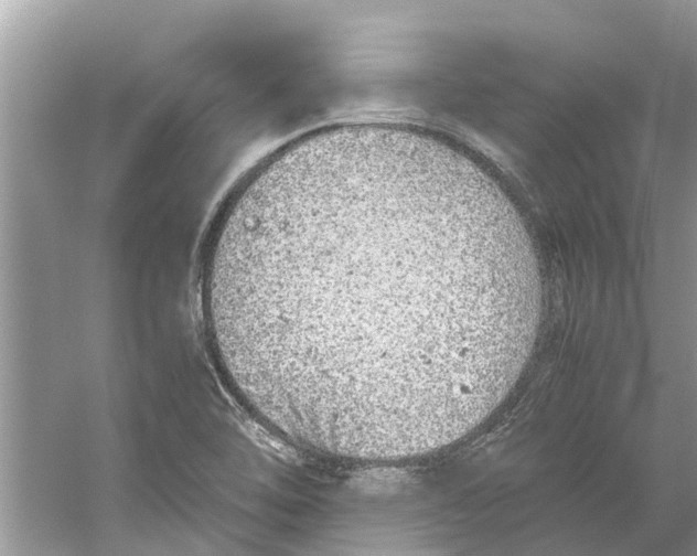 X0000059801462200511181502