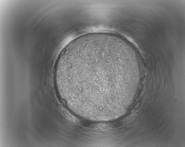 X0000059801463200511181502