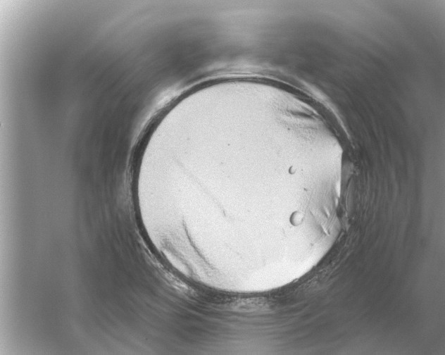 X0000059801464200511181502