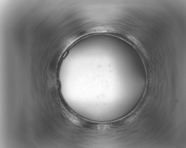 X0000059801465200511181502