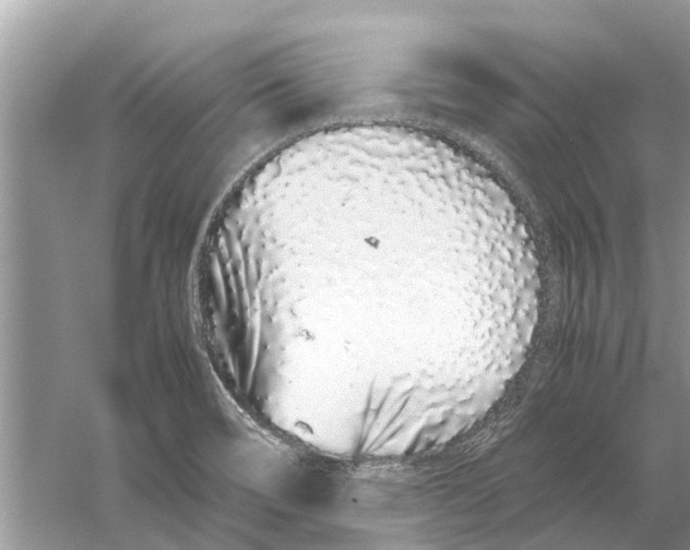 X0000059801466200511181501