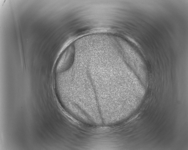 X0000059801467200511181501