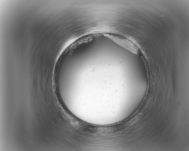 X0000059801469200511181501