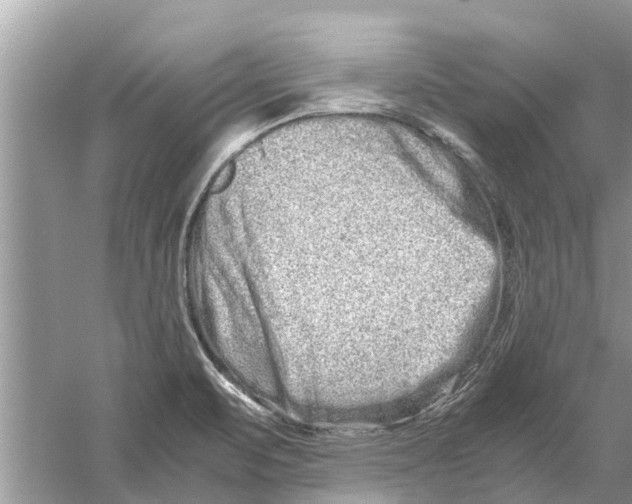 X0000059801471200511181501