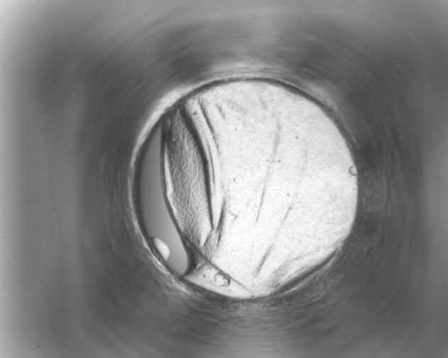 X0000059801472200511181501