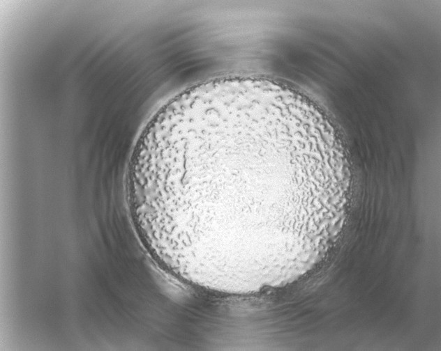 X0000059801474200511181501