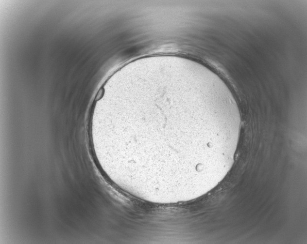 X0000059801475200511181501