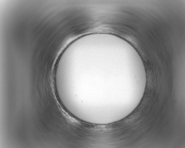 X0000059801478200511181501