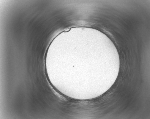 X0000059801479200511181501