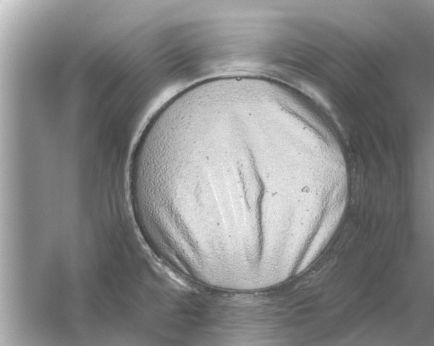 X0000059801480200511181501