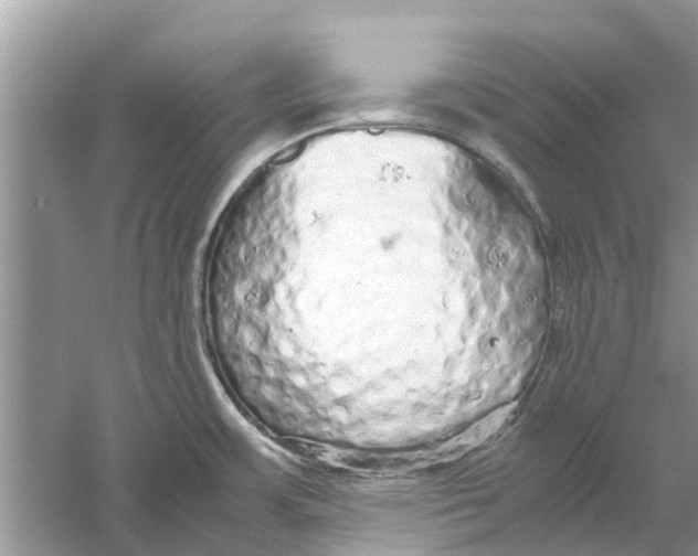 X0000059801483200511181501