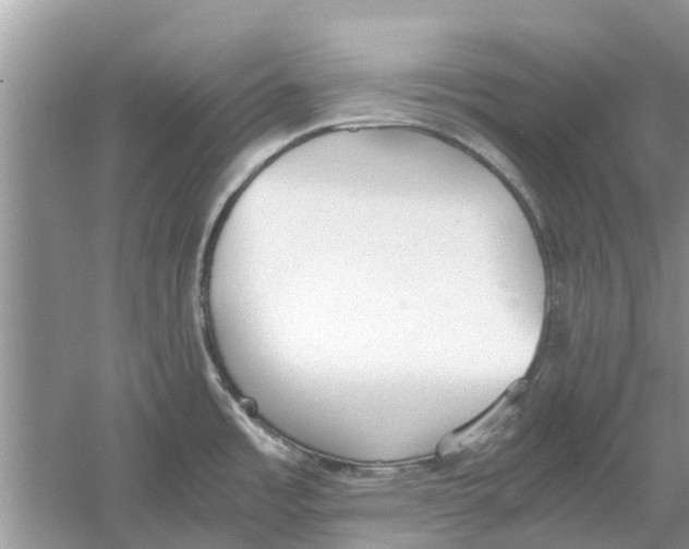 X0000059801485200511181501