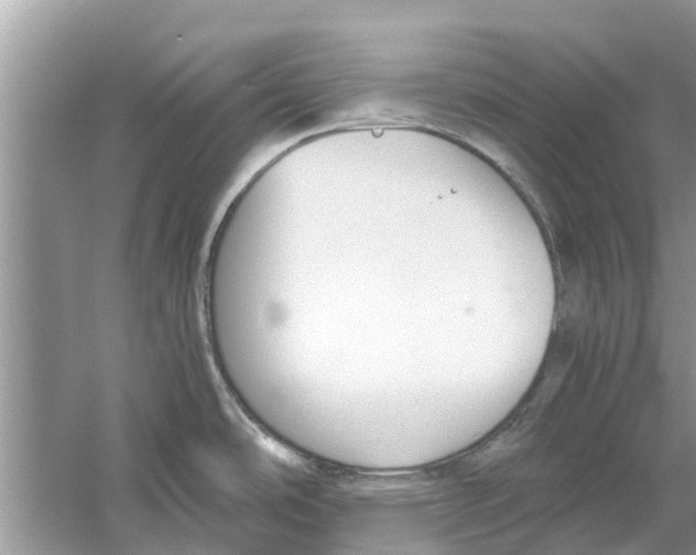 X0000059801486200511181501