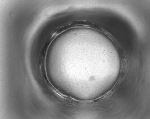 X0000059801487200511181501