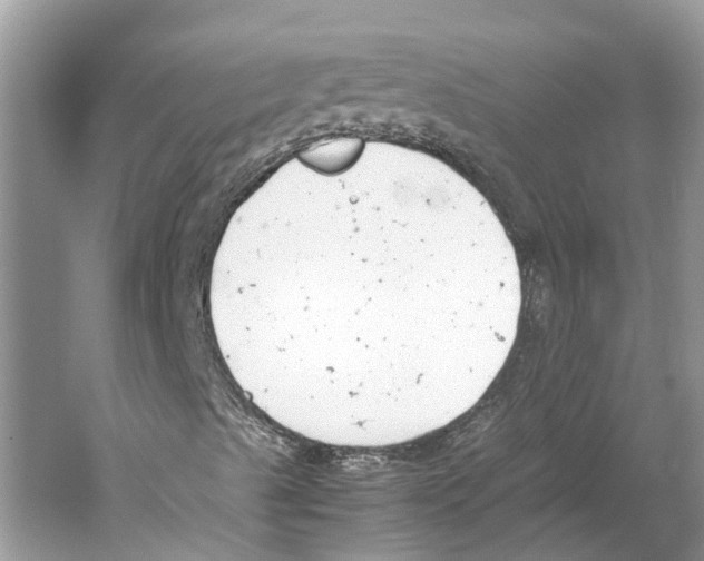 X0000059801489200511181500