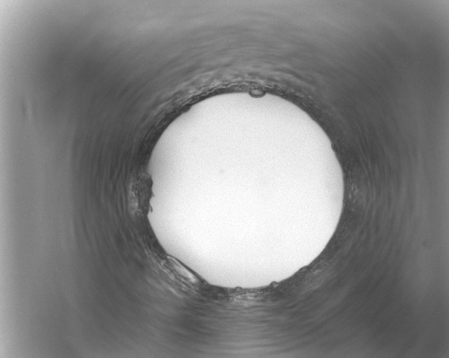 X0000059801490200511181500