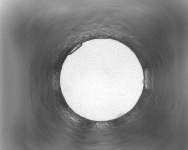 X0000059801491200511181500