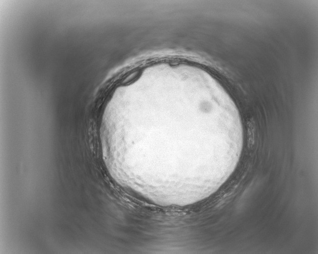 X0000059801494200511181500