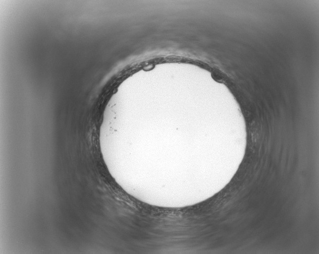 X0000059801495200511181500