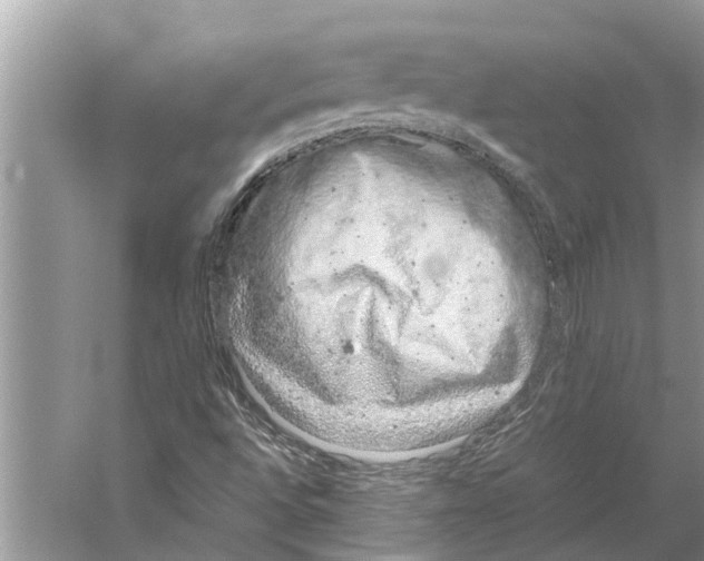 X0000059801496200511181500