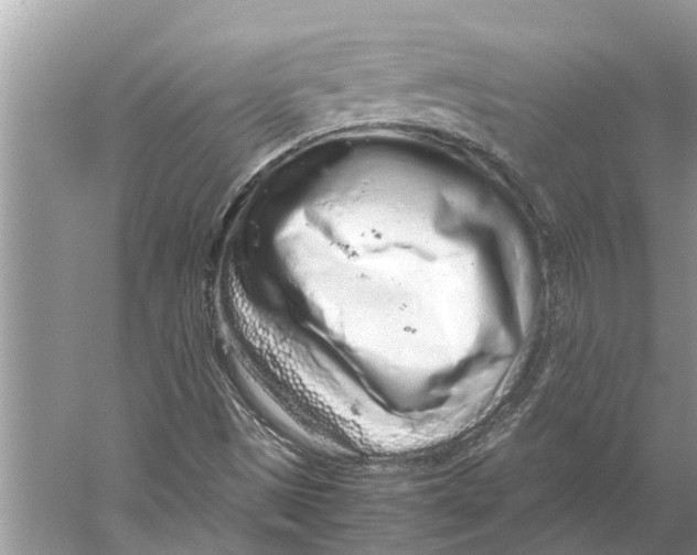 X0000059801497200511181500