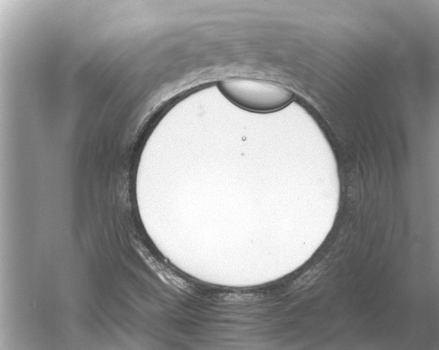 X0000059801499200511181500