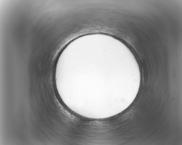 X0000059801500200511181500